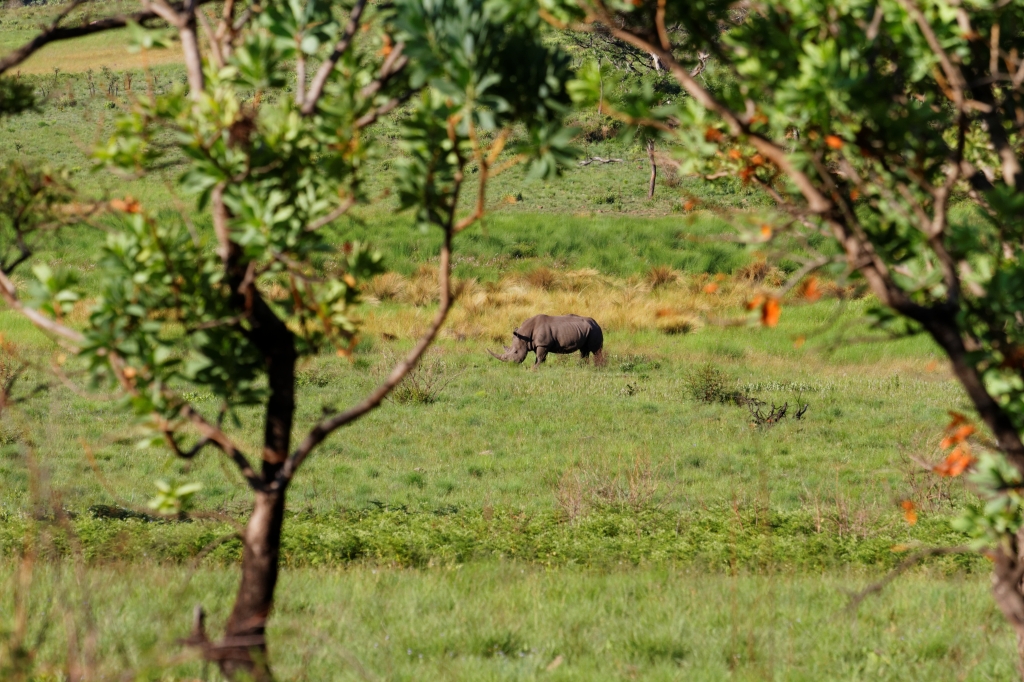 10 - Marakele NP (14).jpg